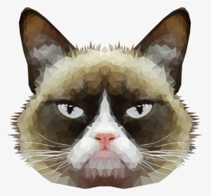 American Wirehair Grumpy Cat Whiskers Domestic Short-haired - Cat Face With No Background, HD Png Download, Transparent PNG