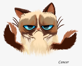 Grumpy Cat Kitten Cats And The Internet - Grumpy Cat Free Vector, HD Png Download, Transparent PNG