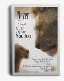 Never Forget Who You Are Lion King Poster, HD Png Download, Transparent PNG