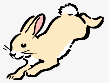 Vector Illustration Of Cartoon Rabbit Hopping - Bunny Jumping Clipart, HD Png Download, Transparent PNG