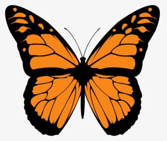 Monarch Butterfly Png High-quality Image - Monarch Butterfly Wings, Transparent Png, Transparent PNG