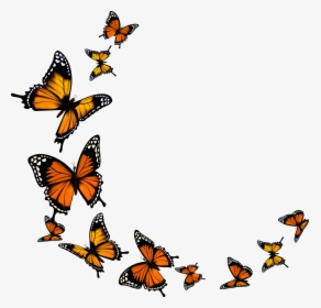 Butterfly Png Download - Transparent Background Monarch Butterfly Clipart, Png Download, Transparent PNG