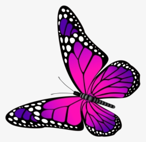Monarch Butterfly Clipart Png Full Hd - Butterfly Pink And Purple, Transparent Png, Transparent PNG