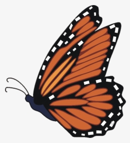 Butterfly Monarch Clipart Transparent Png - Flying Monarch Butterfly Clipart, Png Download, Transparent PNG