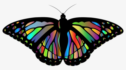Monarch Butterfly Rainbow Art, HD Png Download, Transparent PNG