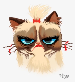 Grumpy Cat Art Vector, HD Png Download, Transparent PNG