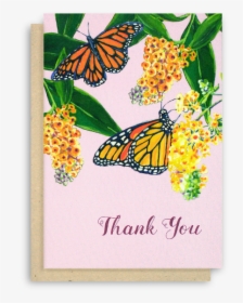 Thank You Cards With Butterflies, HD Png Download, Transparent PNG