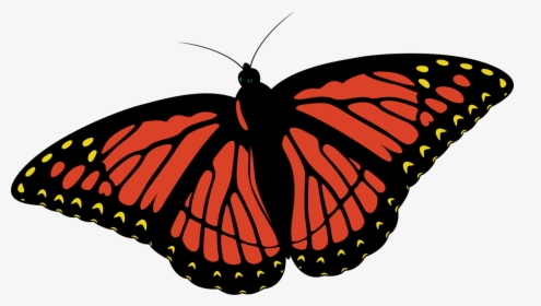 Butterfly Insect Coloring Book - Monarch Butterfly Favicon, HD Png Download, Transparent PNG