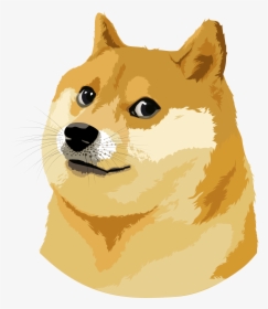 Doge Vector Illustration - Doge Meme Vector, HD Png Download, Transparent PNG