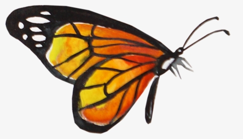 Creative Watercolor Butterfly - Transparent Background Monarch Butterfly Png, Png Download, Transparent PNG