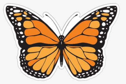Butterfly Patch - Different Colours Of Butterfly, HD Png Download, Transparent PNG