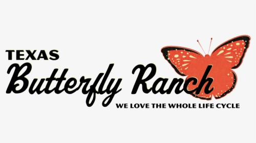 Texasbutterflyranch - Brush-footed Butterfly, HD Png Download, Transparent PNG