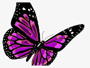 Monarch Butterfly Clipart Hindu God - Monarch Butterfly Transparent Background, HD Png Download, Transparent PNG