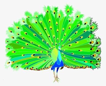 Peacock Clip Art Animal Vector - Peacock Clipart Png Hd, Transparent Png, Transparent PNG