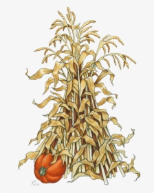 Fall Corn Stalk Clip Art, HD Png Download, Transparent PNG