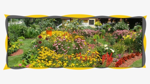 Monarch Butterfly Garden, HD Png Download, Transparent PNG