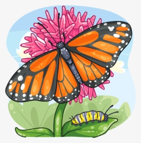 Golden Monarch Butterfly, HD Png Download, Transparent PNG