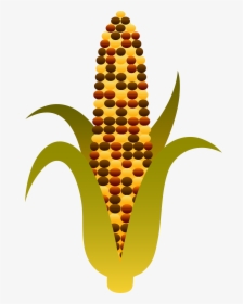 Indian Harvest Maize Free - Indian Corn Clip Art, HD Png Download, Transparent PNG