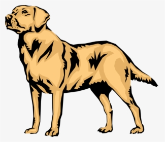 Vector Illustration Of Family Pet Golden Labrador Retriever - Labrador Retriever Vector Png, Transparent Png, Transparent PNG