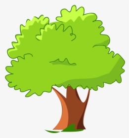 Hole Clipart Tree - Tree Clipart, HD Png Download, Transparent PNG