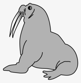 Australian Animals Clipart Free Download Clip Art - Seal Clip Art, HD Png Download, Transparent PNG