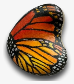 Grammia Virgo, HD Png Download, Transparent PNG