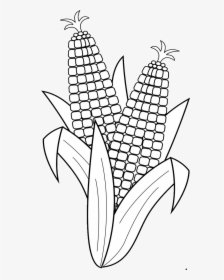 15 Surprising Corn Clipart For Free - Fruits And Vegetables Clipart Black And White, HD Png Download, Transparent PNG