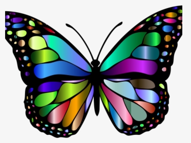 Monarch Butterfly Clipart Png Full Hd - Butterfly Color, Transparent Png, Transparent PNG