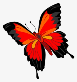 Monarch-butterfly - Titli Png, Transparent Png, Transparent PNG