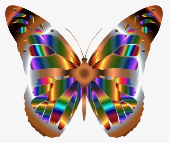 Iridescent Monarch Butterfly 6 Clip Arts - Real Rainbow Monarch Butterfly, HD Png Download, Transparent PNG