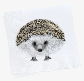 Henry Napkin Web 1000x - Domesticated Hedgehog, HD Png Download, Transparent PNG