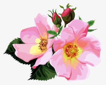 Transparent Flower Bouquet Clipart, HD Png Download, Transparent PNG