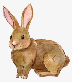 Transparent Alice In Wonderland Rabbit Png - Rabbit Clipart Transparent, Png Download, Transparent PNG