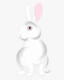White Bunny Cartoon Png Clip Art Image - Cartoon, Transparent Png, Transparent PNG