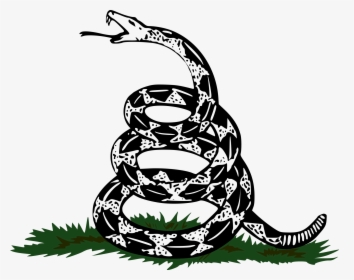 Gadsden Flag Png - Don T Tread On Me Snake Vector, Transparent Png, Transparent PNG