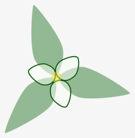 Trillium Flower Transparent Background, HD Png Download, Transparent PNG