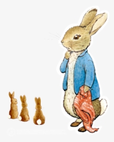 Transparent Peter Rabbit Clipart - Peter Rabbit Transparent Background, HD Png Download, Transparent PNG