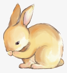 Hand Drawn Rabbit Png - Hare, Transparent Png, Transparent PNG