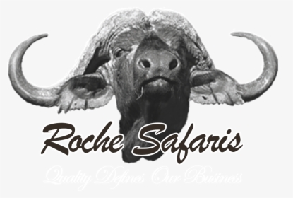 Logo Roche Safaris - Upper Room Christian School Logo, HD Png Download, Transparent PNG