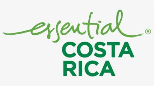 Costa Rica Logo - Costa Rica No Artificial Ingredients, HD Png Download, Transparent PNG