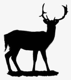Portable Network Graphics Vector Graphics Clip Art - Deer Silhouette, HD Png Download, Transparent PNG