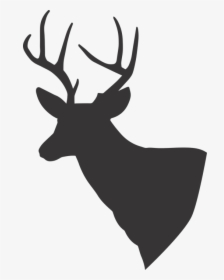 Deer Deer Silhouette Silhouette - Transparent Background Deer Silhouette Png, Png Download, Transparent PNG