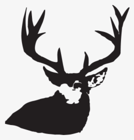 Deer Antlers, HD Png Download, Transparent PNG