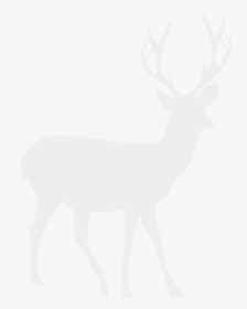 Black Antlers Png Picture For Free - Elk, Transparent Png, Transparent PNG