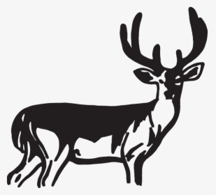 Decal Reindeer Sticker Elk, HD Png Download, Transparent PNG