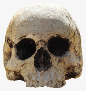 Skull, Head, Skull And Crossbones, Weird, Bone - Squelette Tête De Mort Png, Transparent Png, Transparent PNG