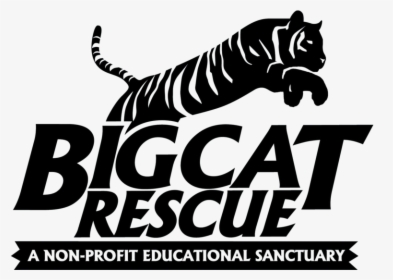 Big Cat Rescue - Big Cat Rescue Tampa Logo, HD Png Download, Transparent PNG