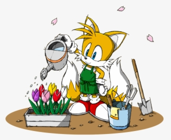 Miles Tails Prower Sonic Channel, HD Png Download, Transparent PNG
