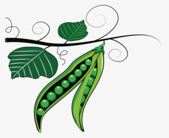 Line Art,plant,flora - Clipart Green Peas, HD Png Download, Transparent PNG