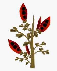 This Free Icons Png Design Of Firebog Firebean - Plants, Transparent Png, Transparent PNG